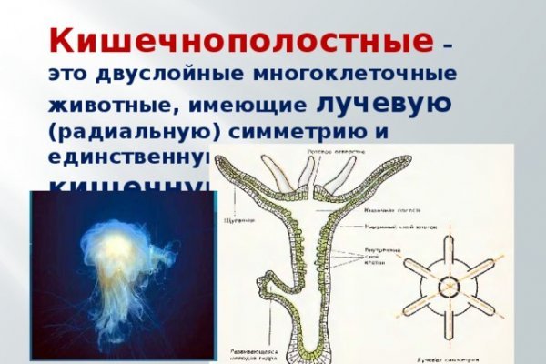 Зеркало омг омг омг